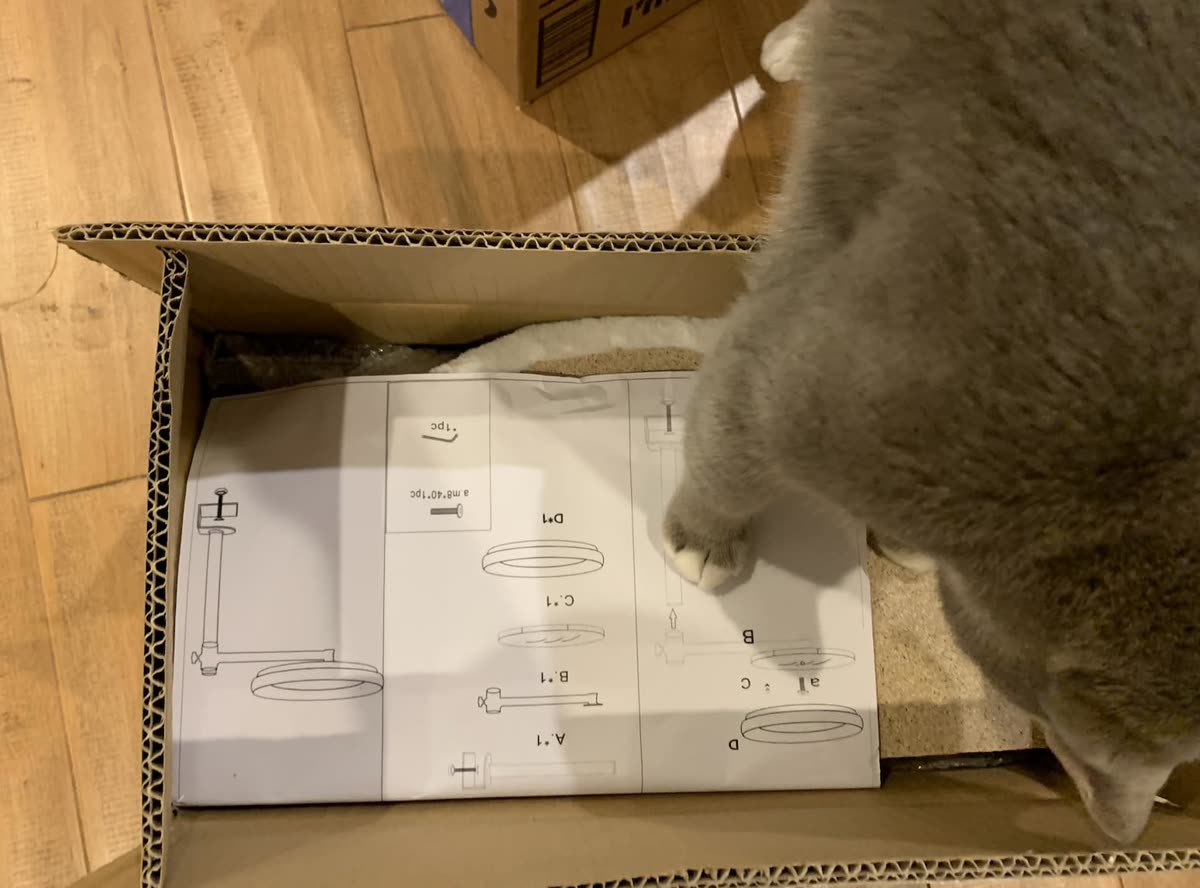 An owner's photo of the cat desk bed still in its shipping box with the paper manual